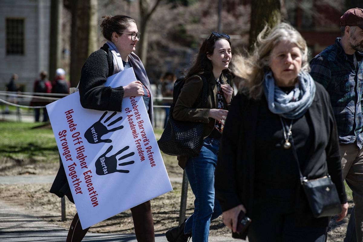 Trump’s feud with Harvard nourishes “the spiral spiral -rich effect